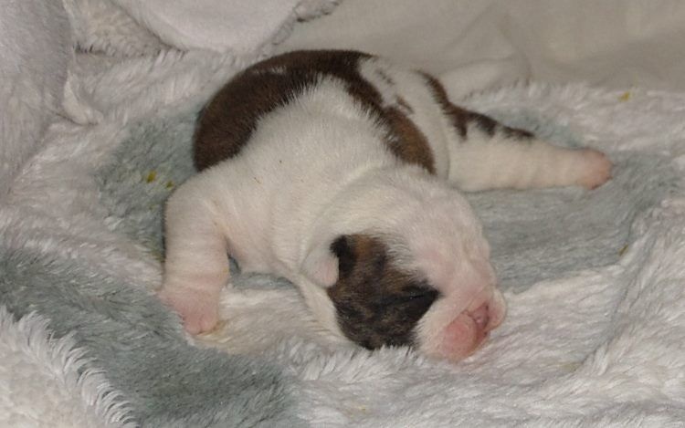 Monica Bellucci Of Only You Love