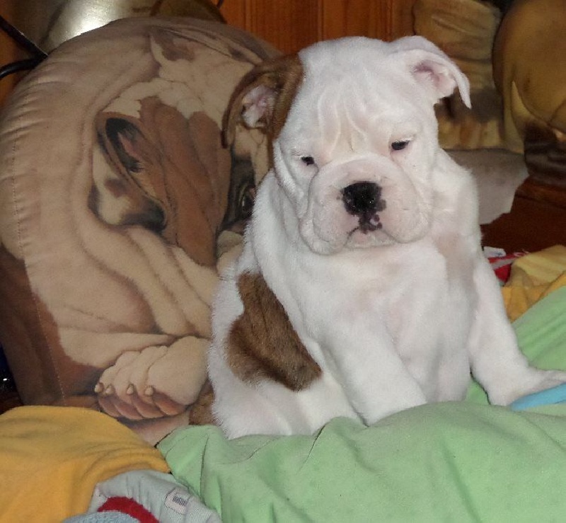 Marilyn Monroe Of Only You Love