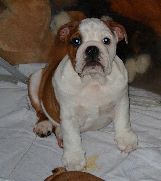 Infinity Of Only You Love