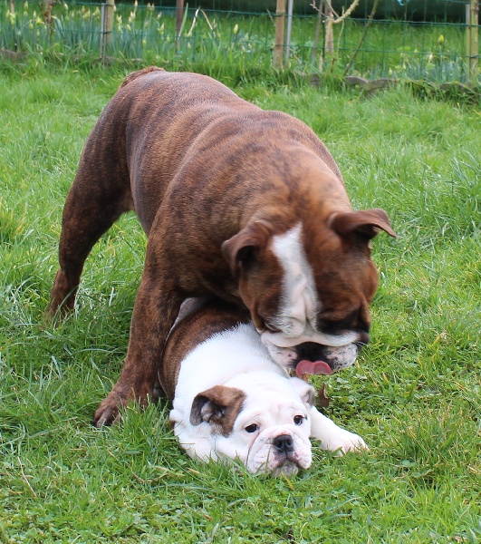 I Can Dance Of Only You Love