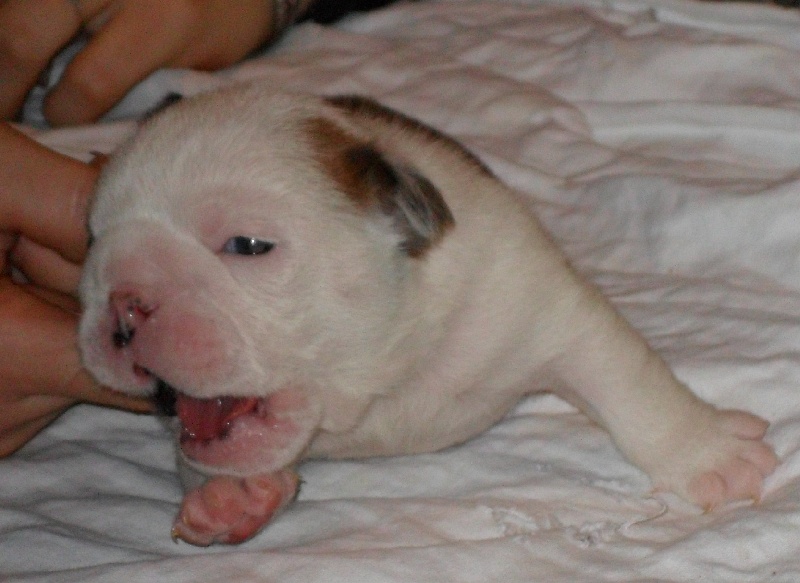 Infinity Of Only You Love