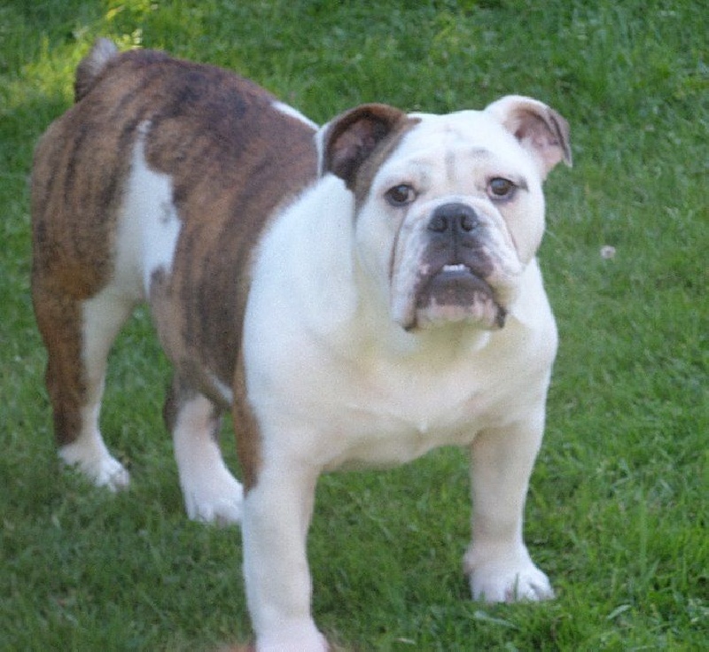 I Can Dance Of Only You Love