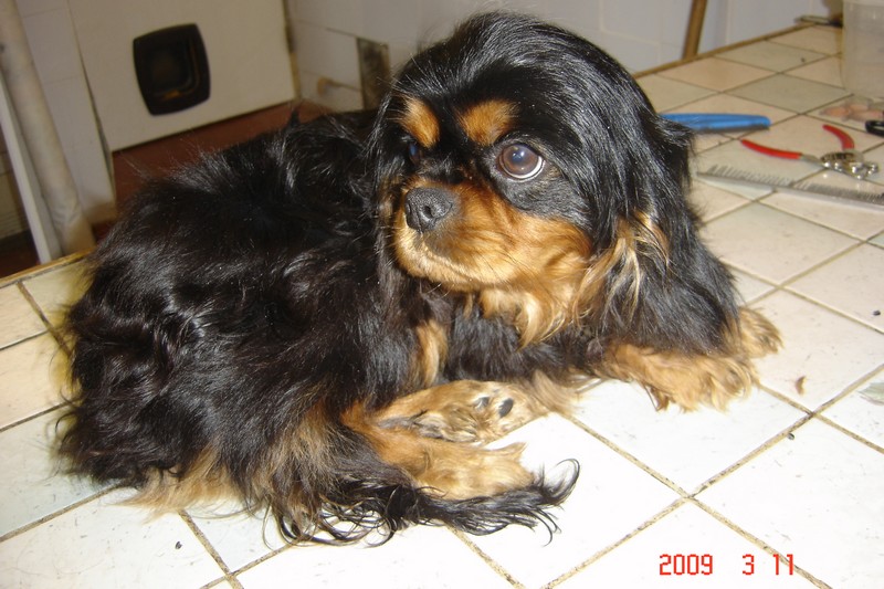 Publication : La legende du jardin des anges