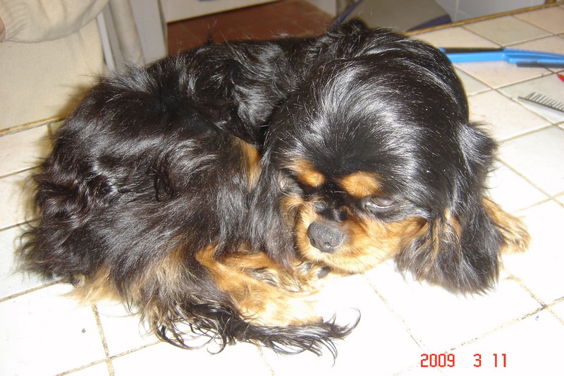 Publication : La legende du jardin des anges