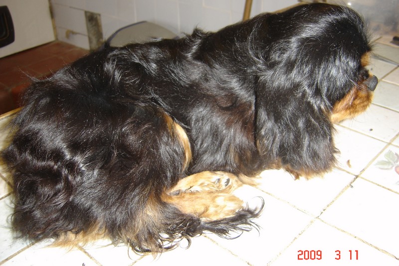 Publication : La legende du jardin des anges