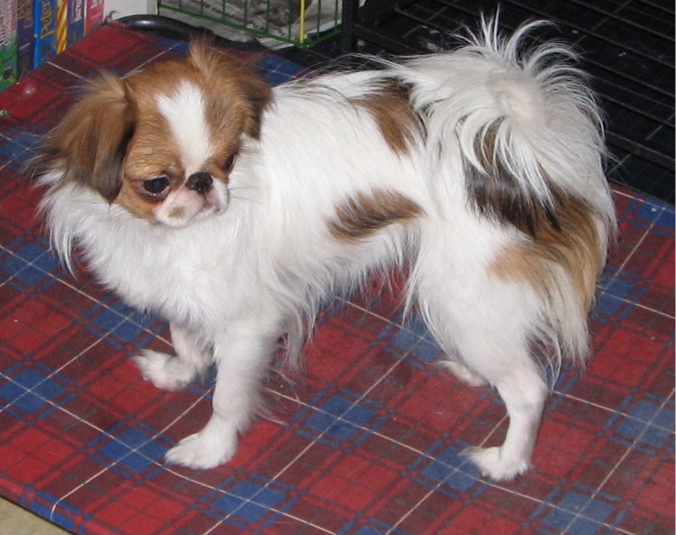 Publication : de L'Arc d'Ashérat