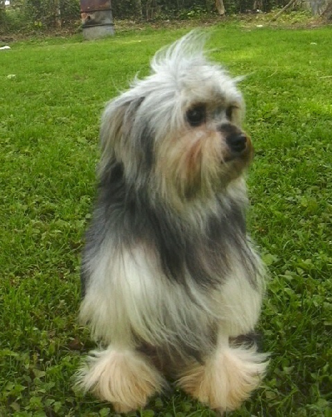 Publication : Des doux angelots