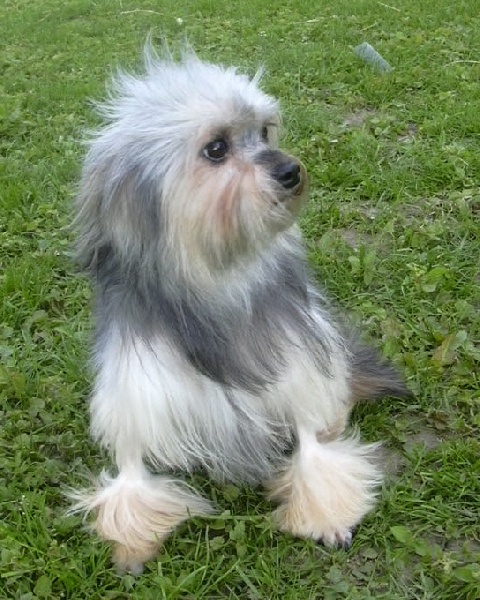 Publication : Des doux angelots