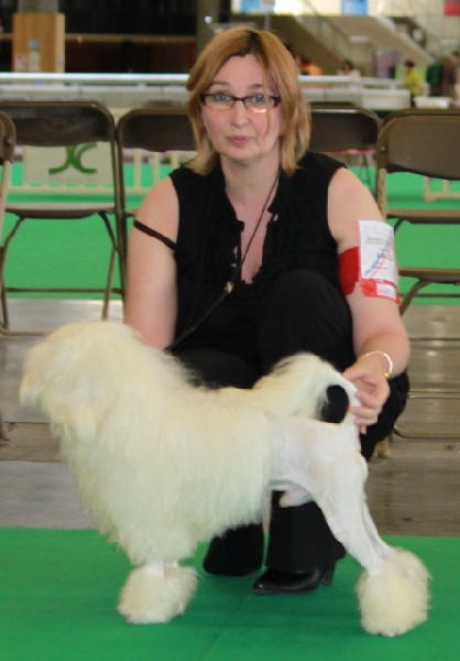 CH. Essai reussi Des doux angelots - CACS - 1er excellent