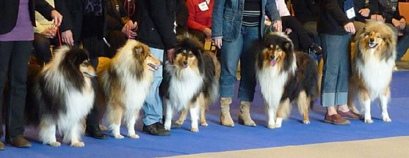 Don't get me wrong Of rhapsody land