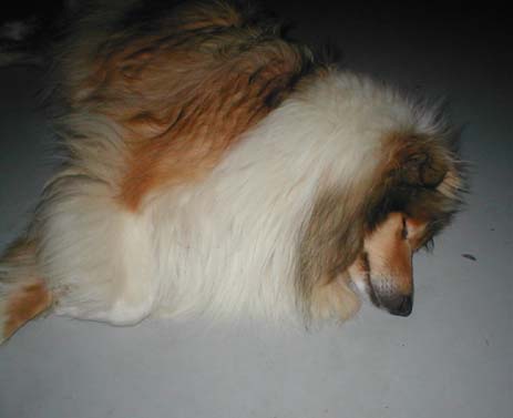 Thelma et louise Of rhapsody land