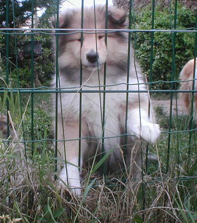 Don't get me wrong Of rhapsody land