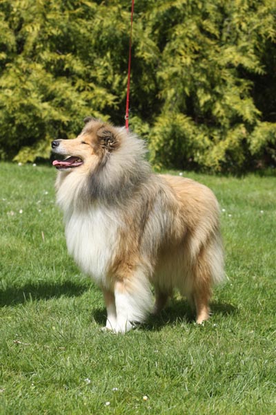 Don't get me wrong Of rhapsody land