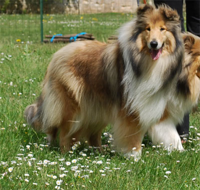 Don't get me wrong Of rhapsody land