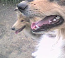 Don't get me wrong Of rhapsody land