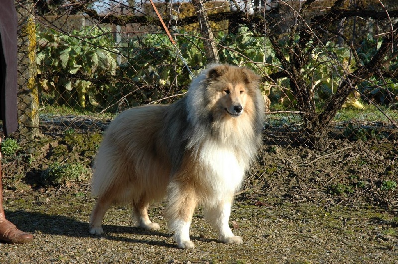 Don't get me wrong Of rhapsody land