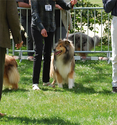 Don't get me wrong Of rhapsody land