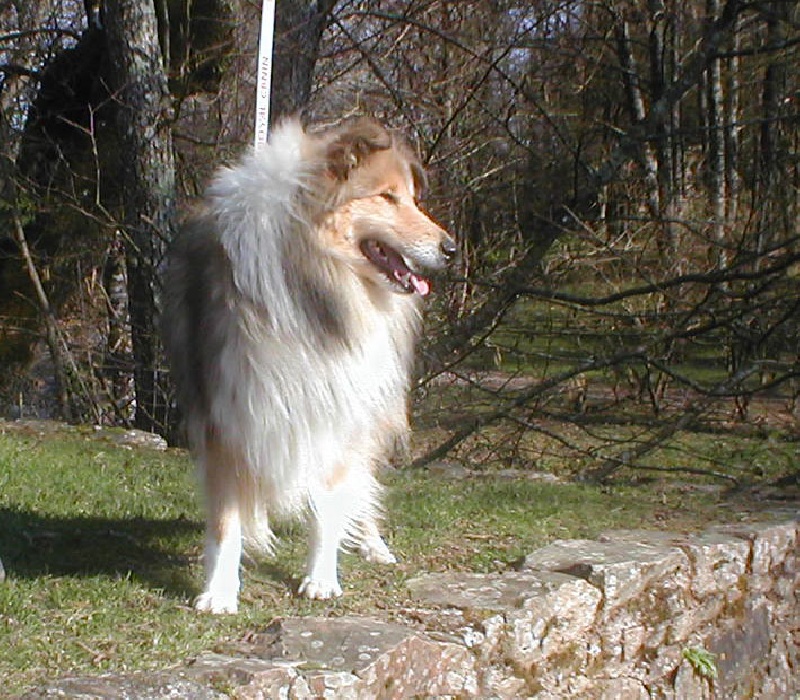 Don't get me wrong Of rhapsody land