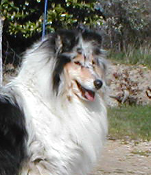 Regate Of rhapsody land