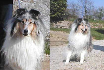 Regate Of rhapsody land