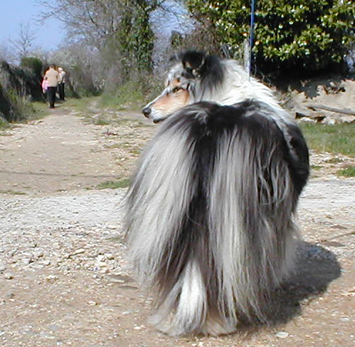 Regate Of rhapsody land