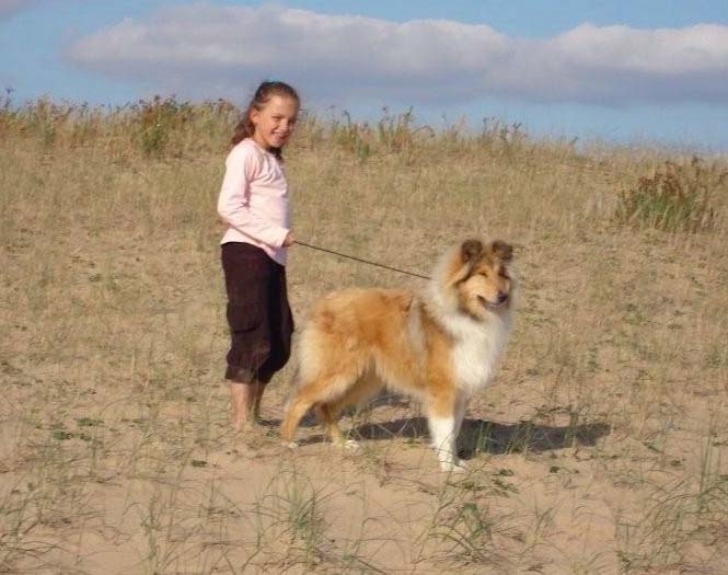 Don diego Of rhapsody land - Très Prometteur