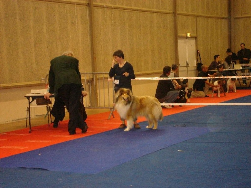 Don diego Of rhapsody land - Exc en classe jeune