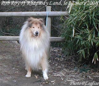 Rob roy Of rhapsody land - 2ème Exc. en classe ouverte