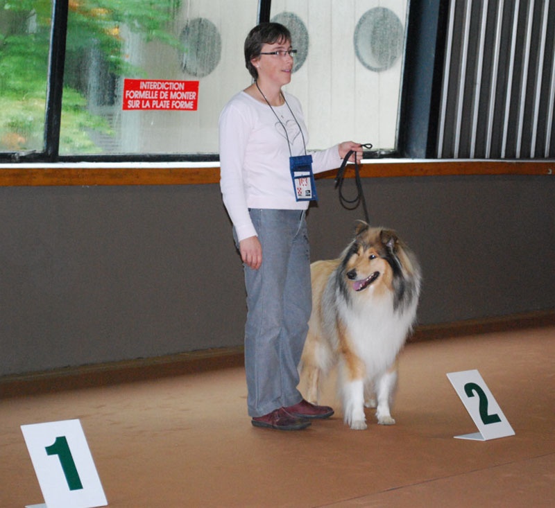 Don diego Of rhapsody land - 2ème Excellent Classe Intermédiaire