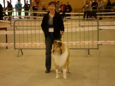 Don diego Of rhapsody land - Prometteur