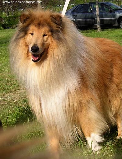 Rob roy Of rhapsody land - Exc. (+ TAN avec M.Joseph Ortega)