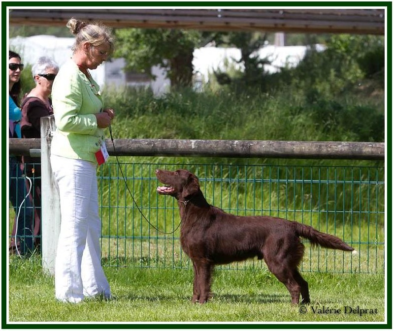 Publication : Dark devotion Auteur : Dark Devotion