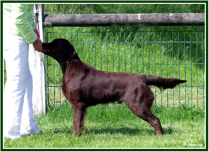 Publication : Dark devotion Auteur : Dark Devotion