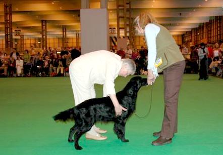 Publication : Dark devotion Auteur : Dark Devotion