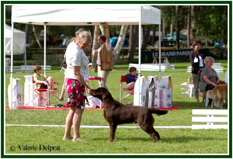 Publication : Dark devotion Auteur : Dark Devotion