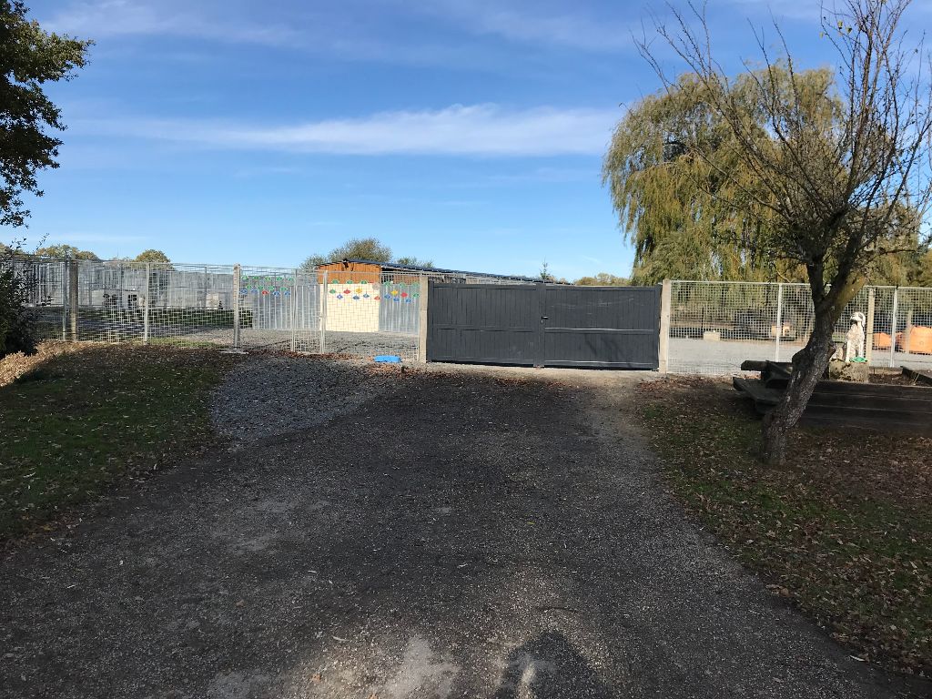 Photo Elevage des Etangs de Dame Blanche eleveur de chiens English Springer Spaniel