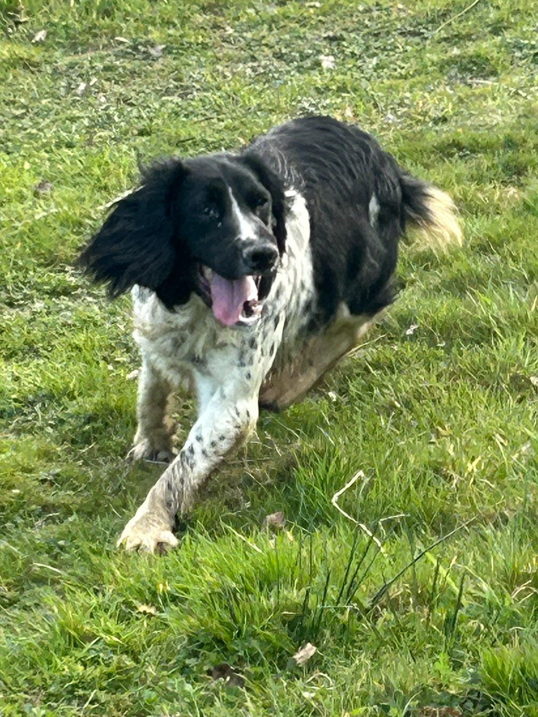 Vanille des garrigues de beaulieu