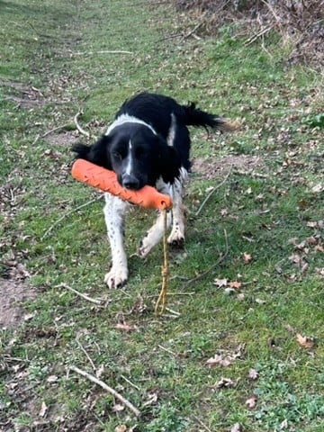 Vanille des garrigues de beaulieu