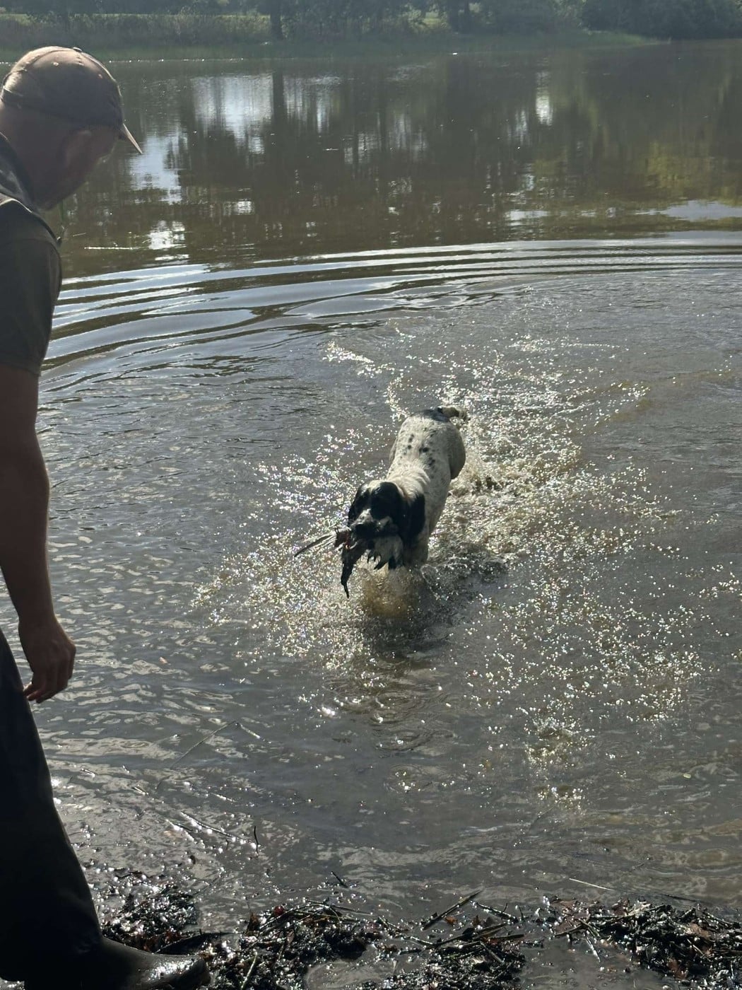 Verveine De la vallee du duris