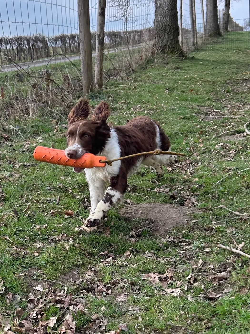 VIMY du chemin des cavaliers