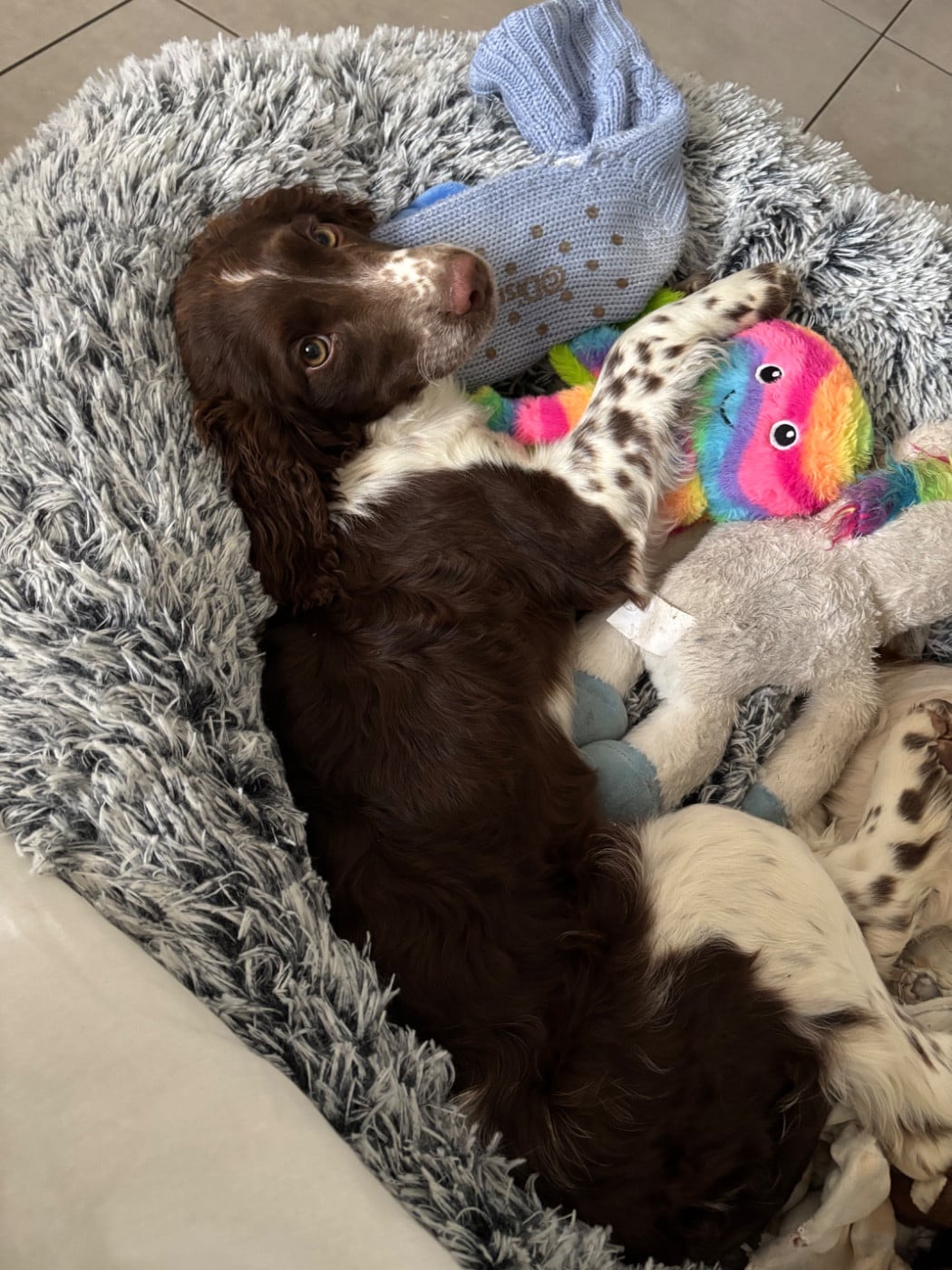 VIMY du chemin des cavaliers