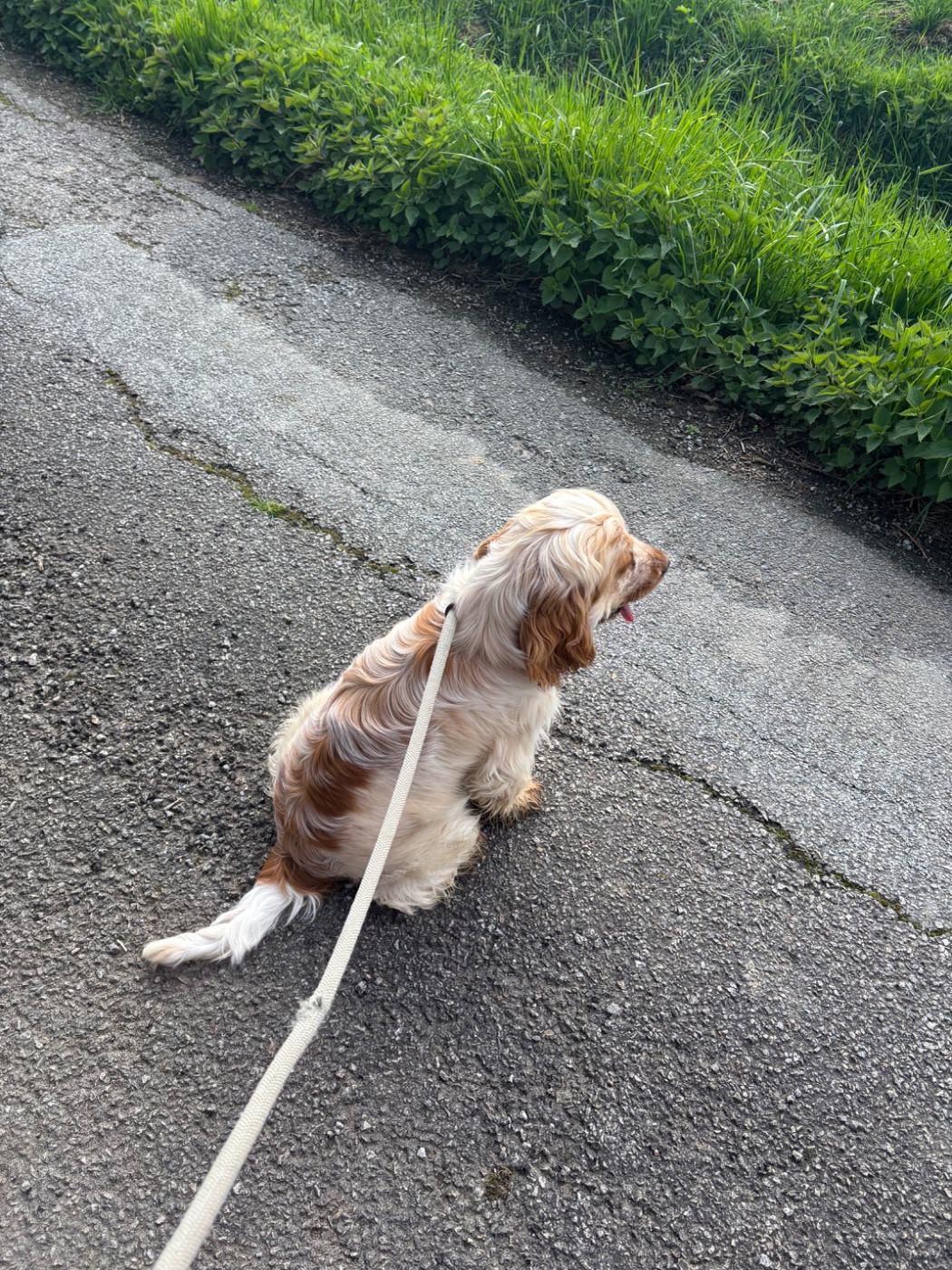 Publication : des Etangs de Dame Blanche