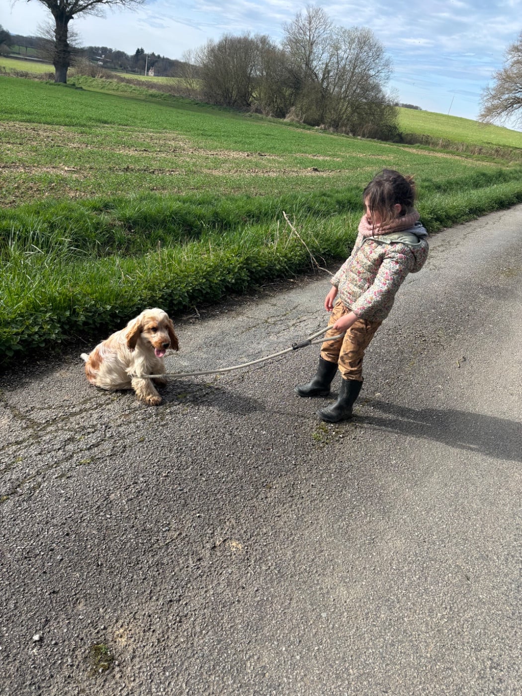 Publication : des Etangs de Dame Blanche