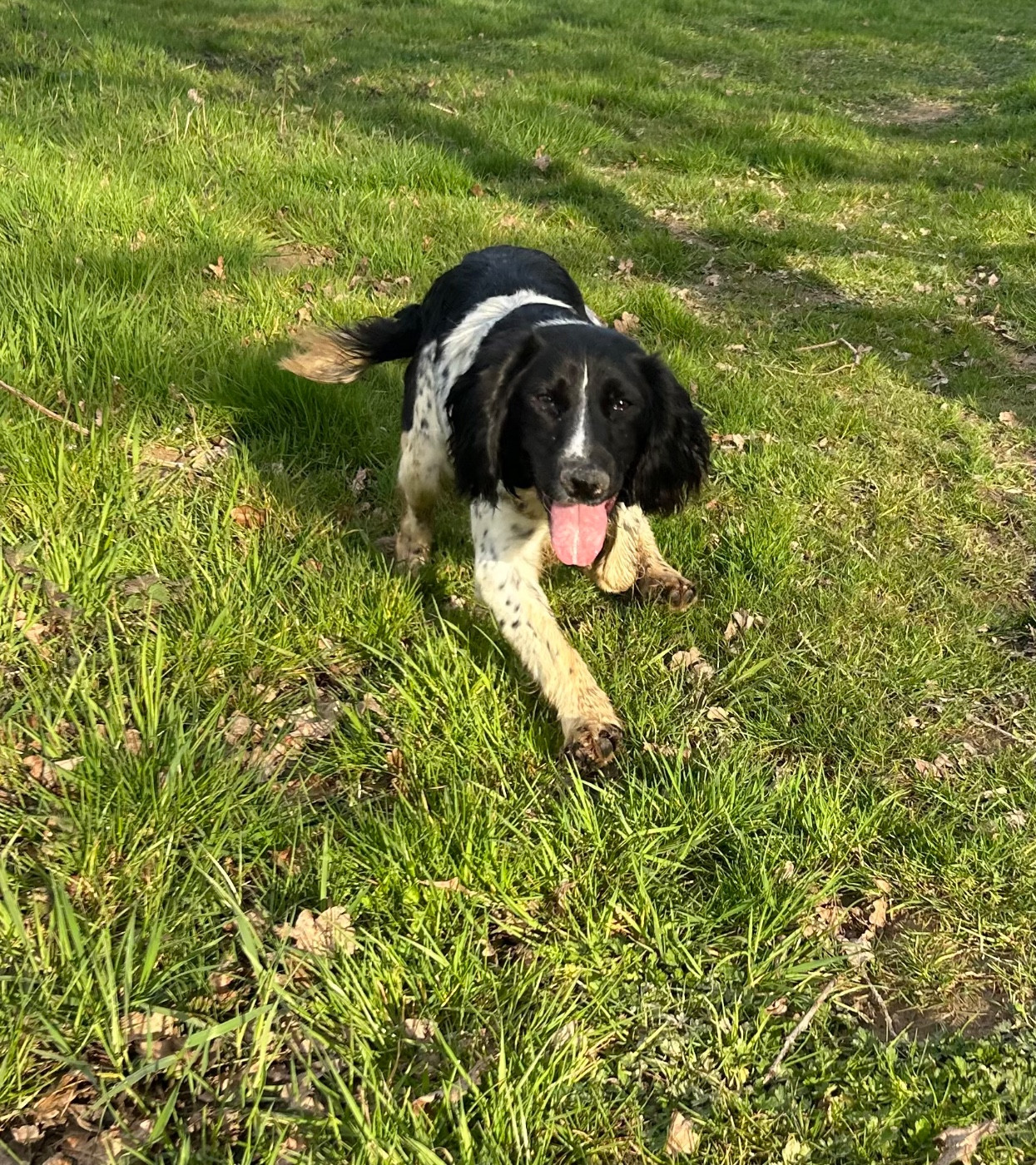 Vanille des garrigues de beaulieu