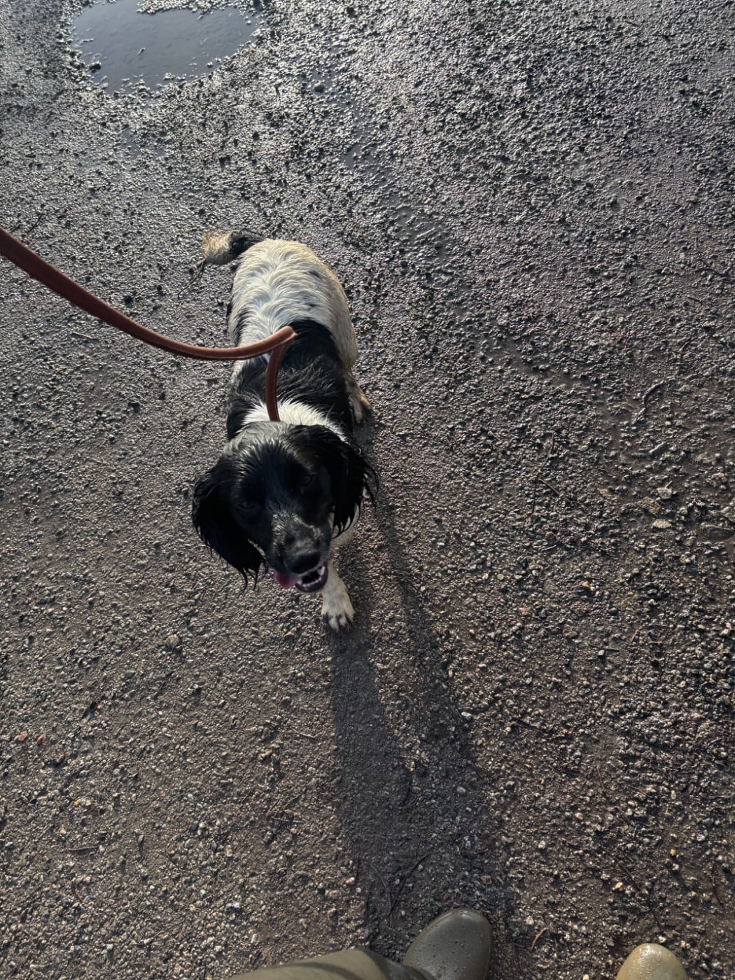 Victoire des Etangs de Dame Blanche