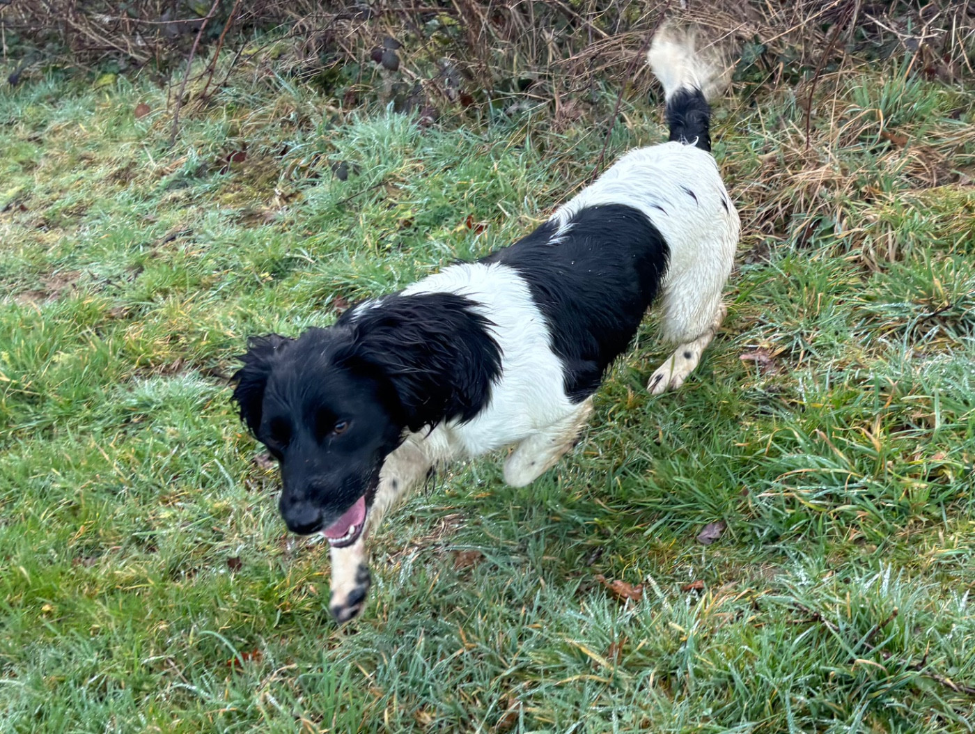 Victoire des Etangs de Dame Blanche