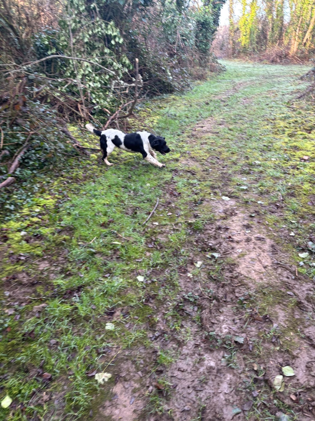 Victoire des Etangs de Dame Blanche