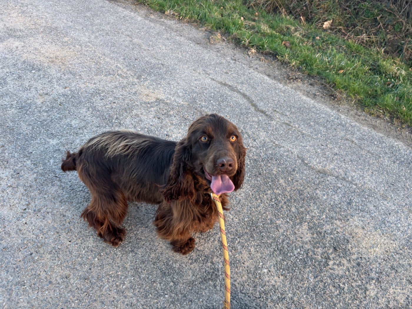 Publication : des Etangs de Dame Blanche