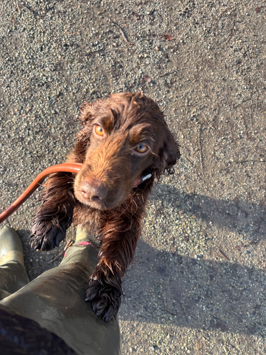 Publication : des Etangs de Dame Blanche