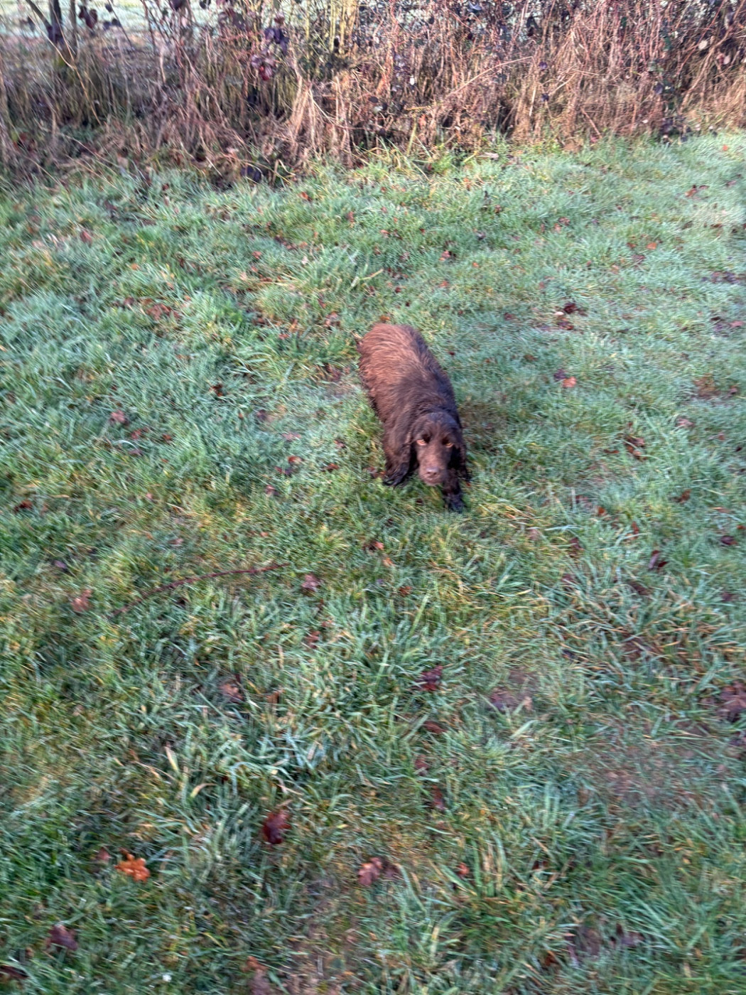 Publication : des Etangs de Dame Blanche